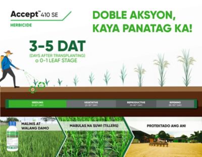 Accept timing of application